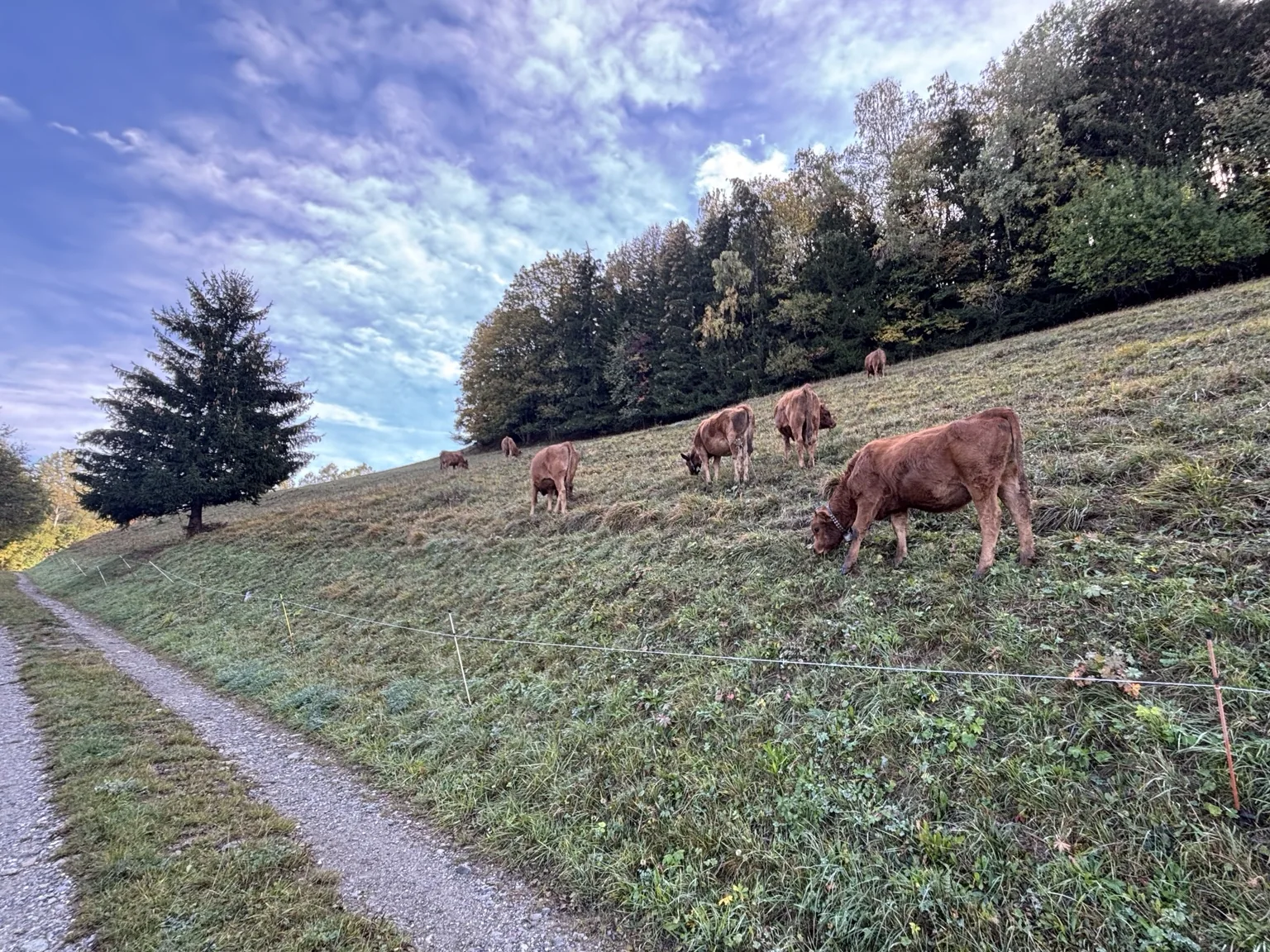Valmorel
