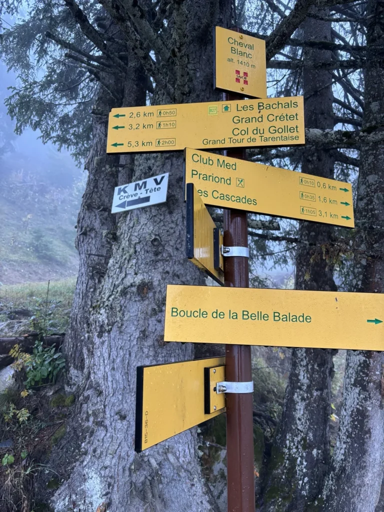 Panneaux directionnels sur un sentier en forêt