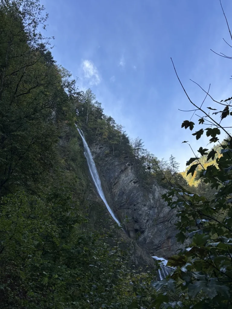 Cascade du Morel encadrée par les arbres