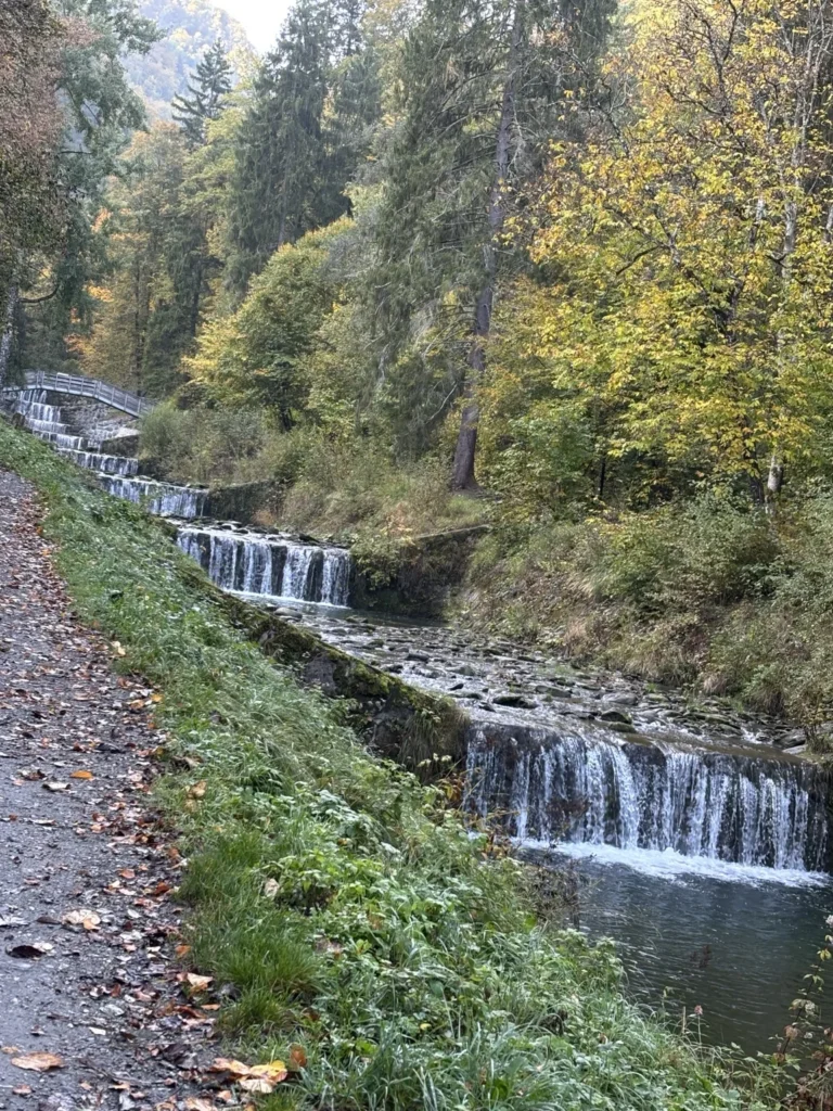 Torrent du Morel et cascades dans la forêt en automne