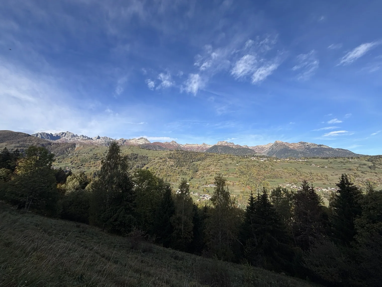 Panorama de montagne au-dessus des arbres