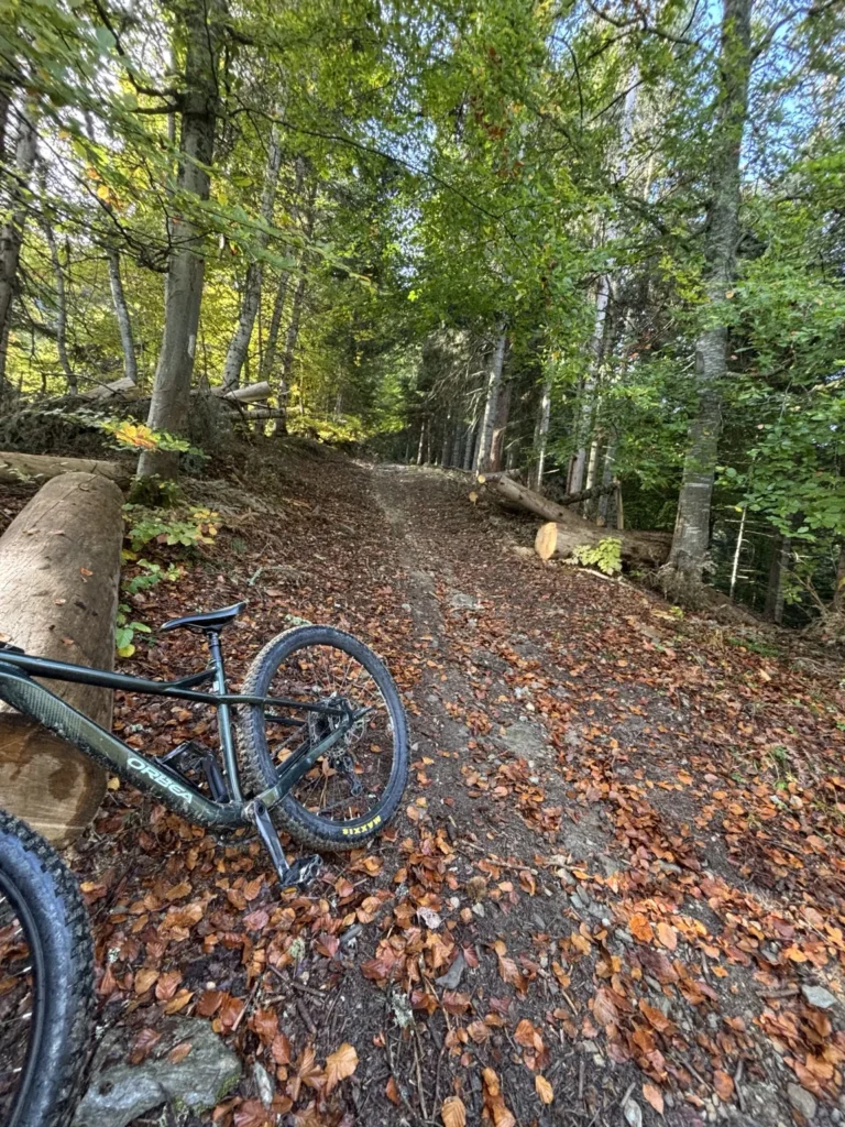 Vélo au bord d’un sentier dans les sous-bois