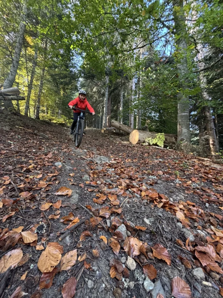 Cycliste sur un sentier forestier en automne